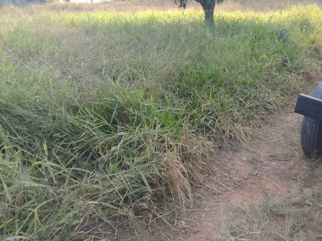 Área para Venda em Pouso Alegre - 4