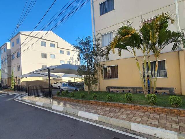 #3238 - Apartamento para Venda em Pouso Alegre - MG - 1
