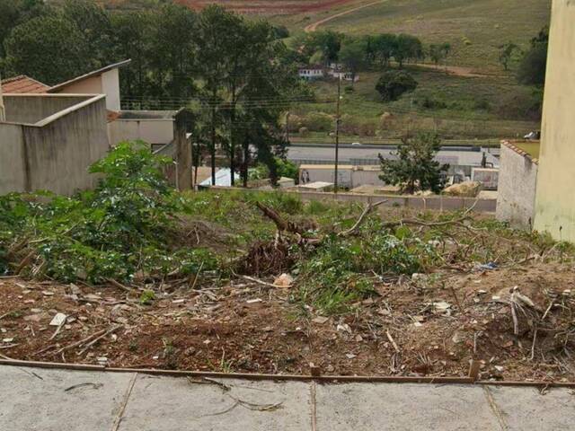 #3350 - Área para Venda em Pouso Alegre - MG - 1