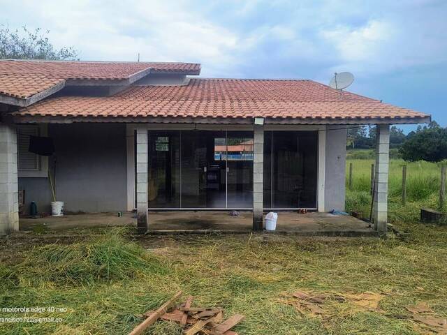 Venda em Cervo - Pouso Alegre