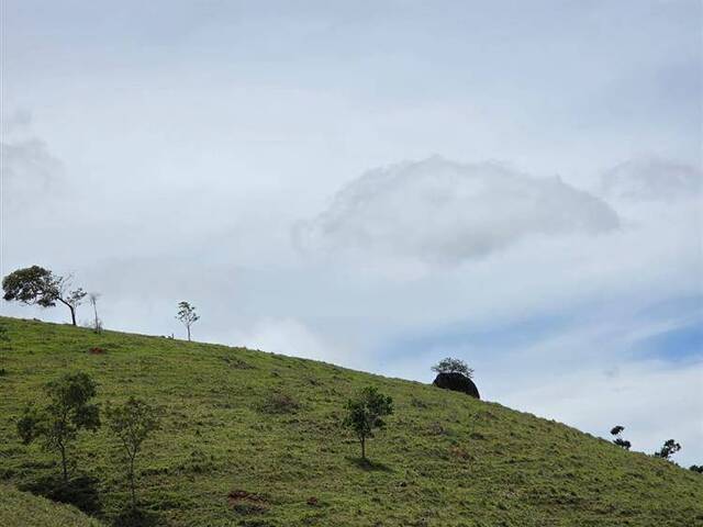 #3369 - Terreno Rural para Venda em Pouso Alegre - MG - 3