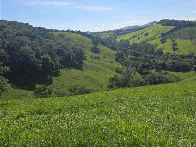 #3369 - Terreno Rural para Venda em Pouso Alegre - MG - 2