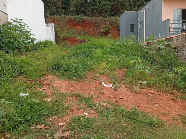#3399 - Área para Venda em Pouso Alegre - MG - 3