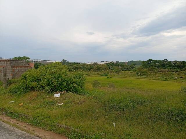 #3403 - Área para Venda em Pouso Alegre - MG