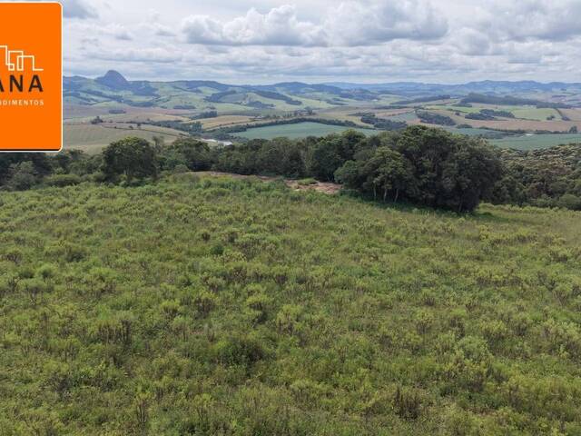 #3408 - Área para Venda em Ipuiúna - MG - 2