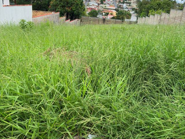 Venda em Fernandes - Pouso Alegre