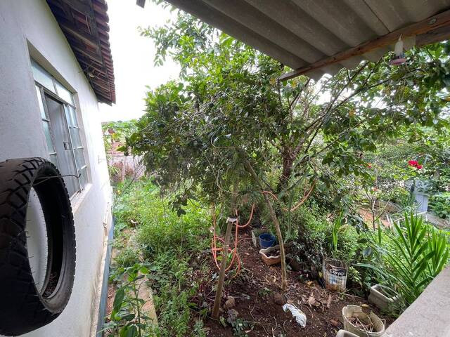 #3447 - Chácara para Venda em Pouso Alegre - MG - 3