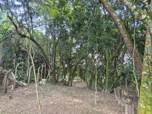 #3474 - Chácara para Venda em Pouso Alegre - MG - 3