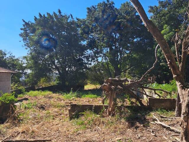 Venda em Bairro Limeira - Pouso Alegre