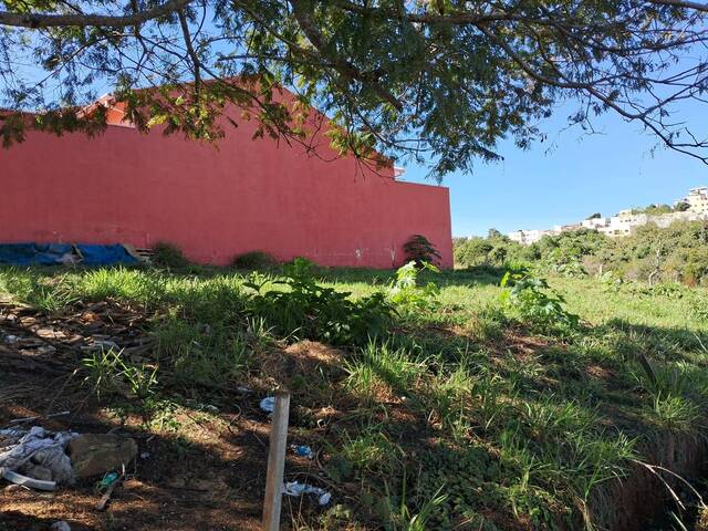 #3615 - Área para Venda em Pouso Alegre - MG - 3