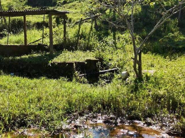 Chácara para Venda em Congonhal - 4