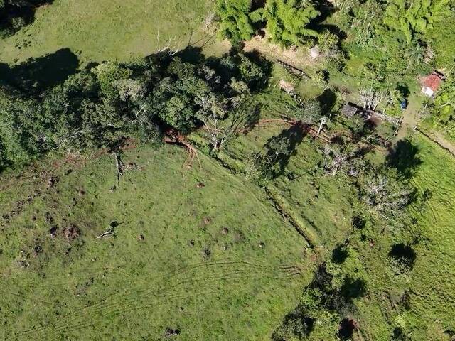 Chácara para Venda em Congonhal - 5