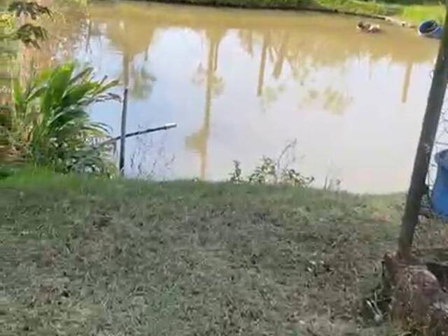 Venda em ANHUMAS - Pouso Alegre
