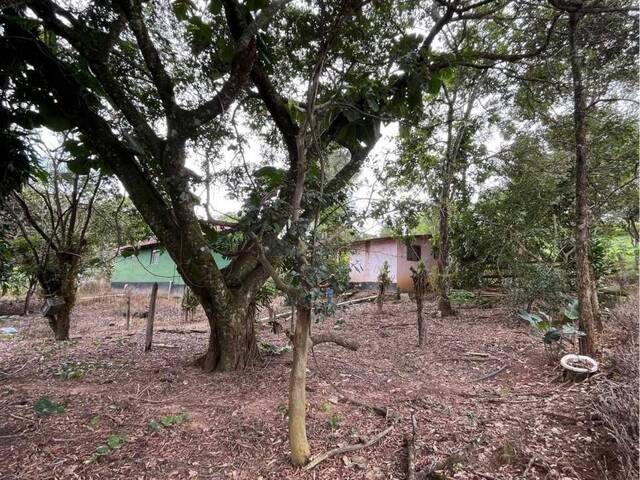 Venda em Pouso do Campo - Pouso Alegre