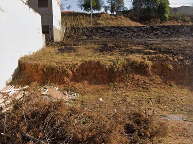 #3767 - Área para Venda em Pouso Alegre - MG - 1
