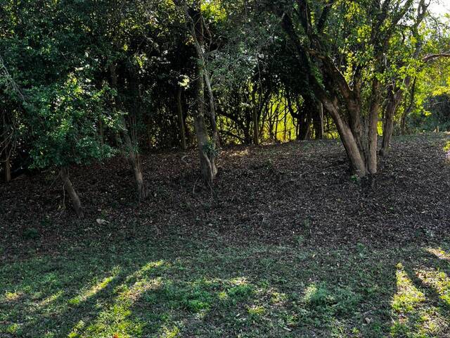 Área para Venda em Pouso Alegre - 4