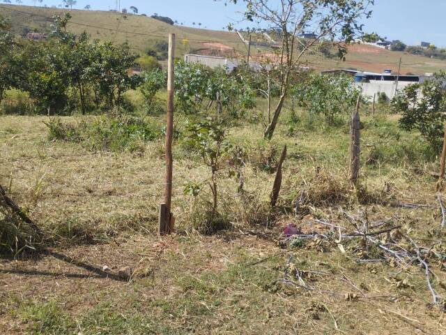 #3820 - Área para Venda em Pouso Alegre - MG - 2