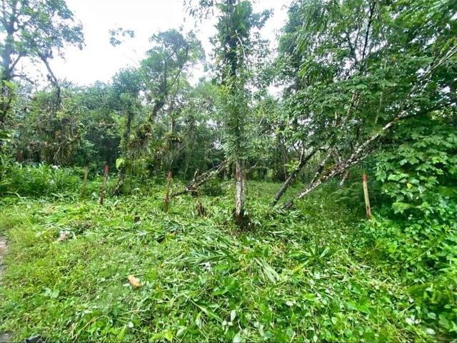 #3822 - Área para Venda em Pouso Alegre - MG - 1