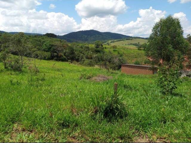 #3831 - Área para Venda em Pouso Alegre - MG - 3